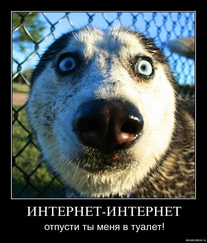 Интернет